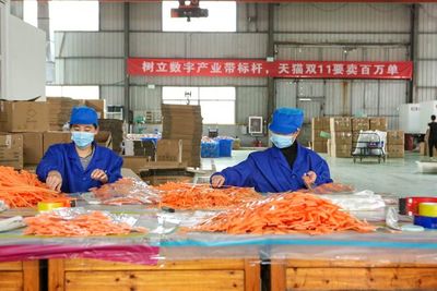 全國(guó)2000個(gè)產(chǎn)業(yè)帶備戰(zhàn)忙 天貓雙11帶給中小企業(yè)生意與信心